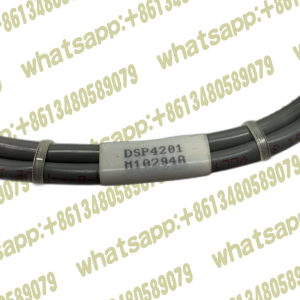 FPHGR3 FCT MUNCHEN DBGM DSP4201 M10294A