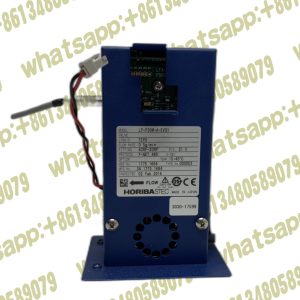 HORIBA LF-F30M-A-EVD1 0.5g/min