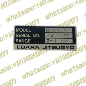 6-Channel Ozone Monitor System Ebara EG-2001 F