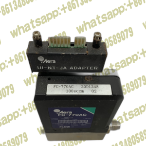 Aera FC-770AC O2 100SCCM