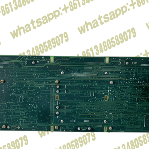 V1004300093