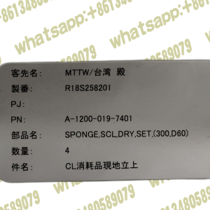 EBARA SCL DRY A-1200-019-7401 SPONGE (300, D60)